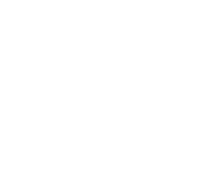 Punt